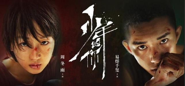 特伦托大学国际商务文凭证书